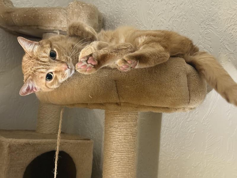 Jax uploaded   306  day/s  ago