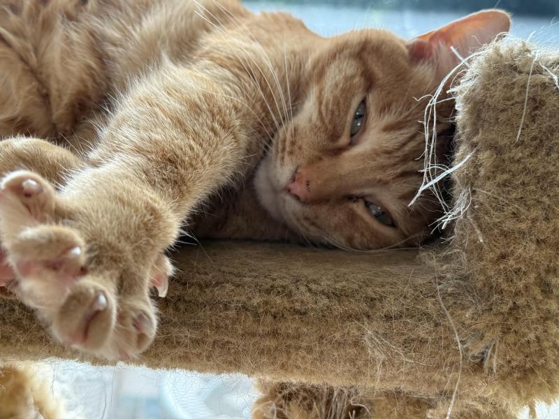 Jax uploaded   327  day/s  ago