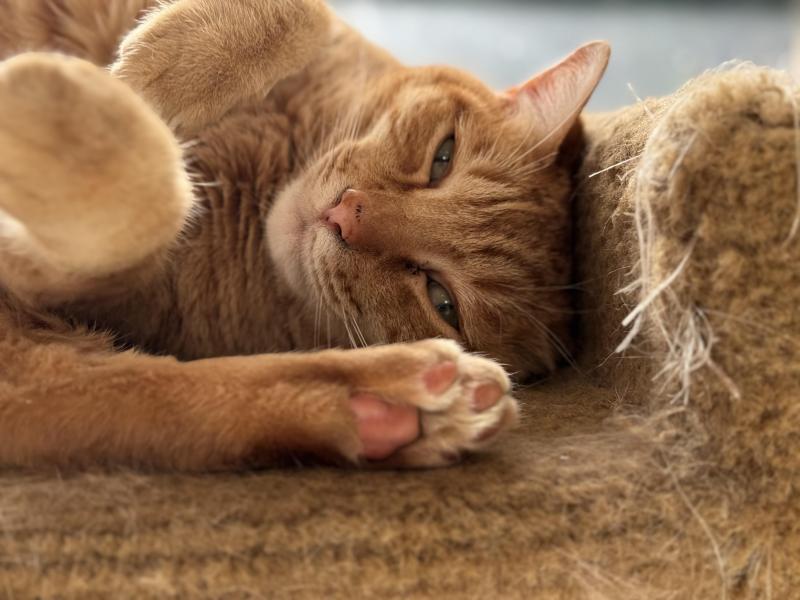 Jax uploaded   327  day/s  ago