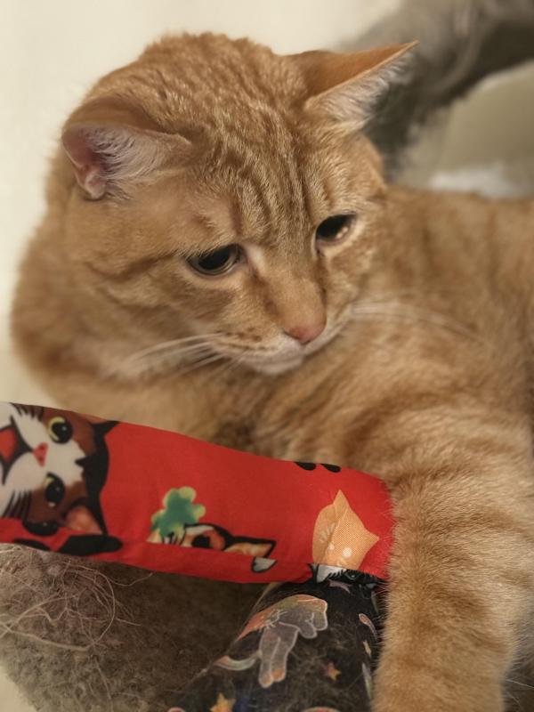 Jax uploaded   292  day/s  ago