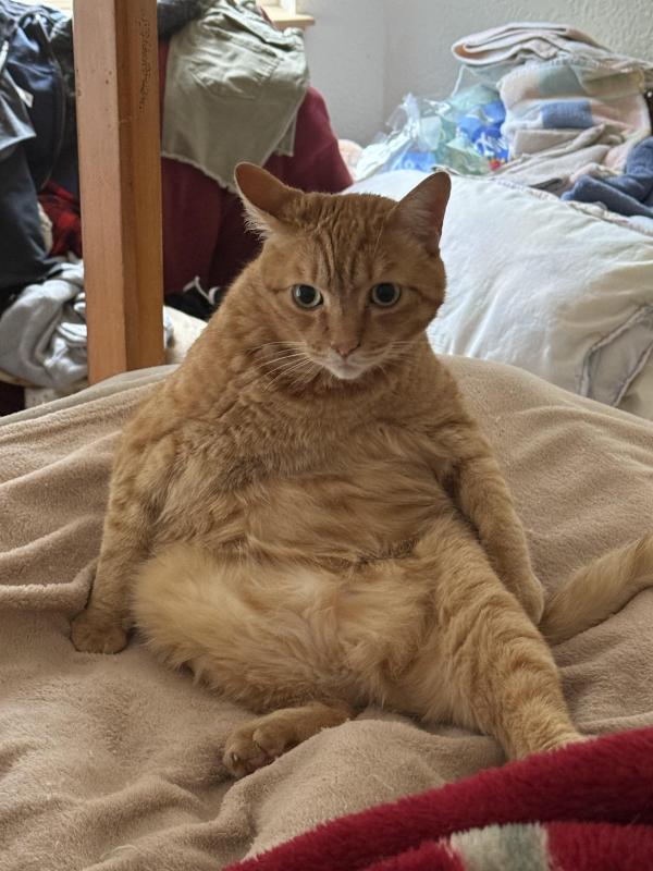 Jax uploaded   234  day/s  ago