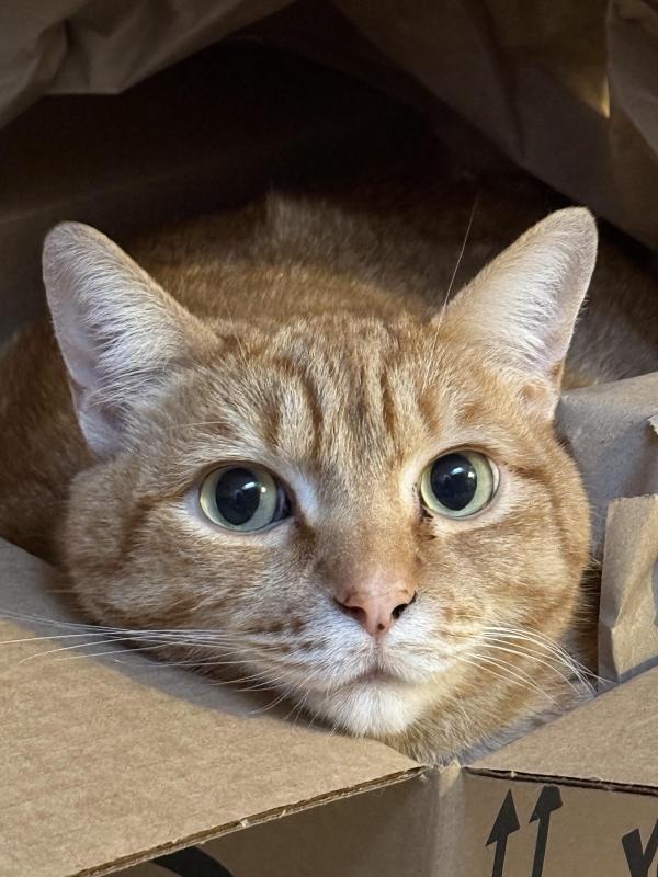 Jax uploaded   5  day/s  ago