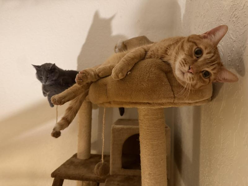 Jax uploaded   34  day/s  ago