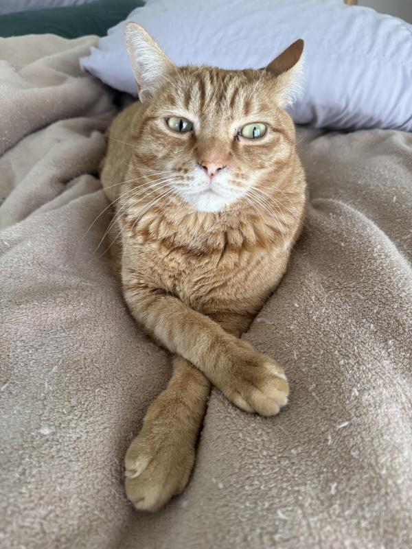 Jax uploaded   45  day/s  ago