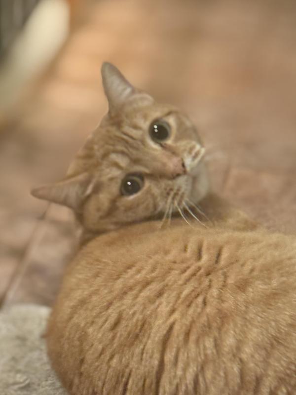 Jax uploaded   41  day/s  ago