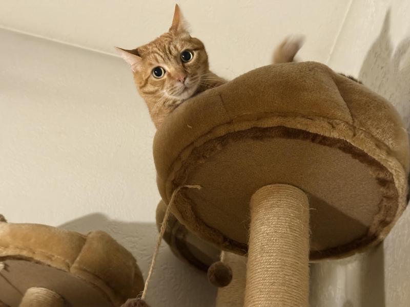 Jax uploaded   313  day/s  ago