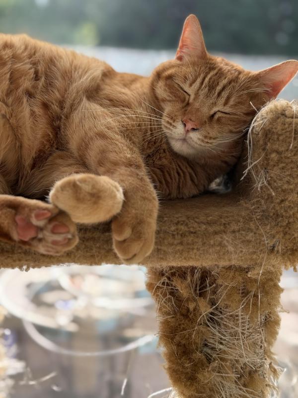 Jax uploaded   327  day/s  ago