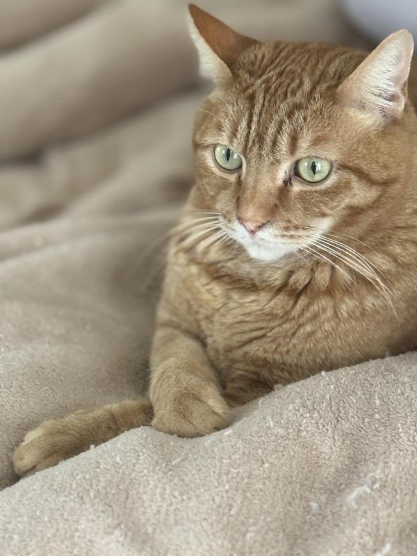 Jax uploaded   45  day/s  ago