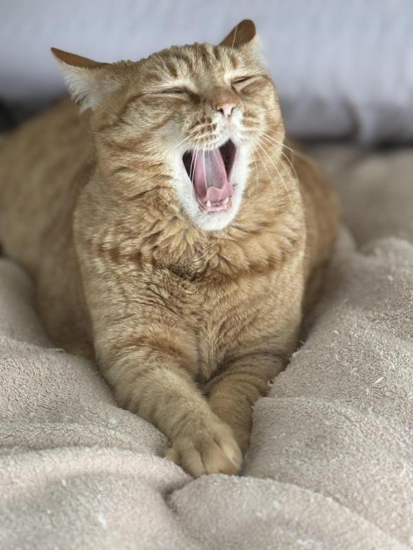 Jax uploaded   45  day/s  ago