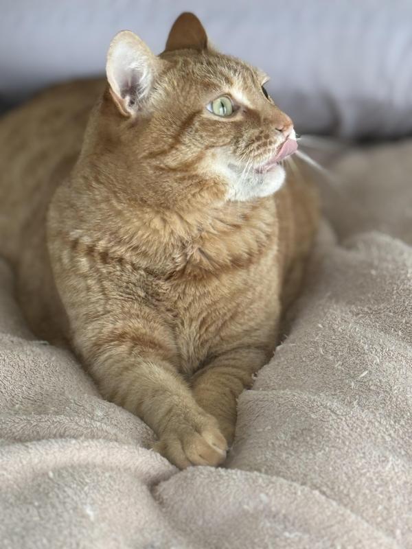 Jax uploaded   26  day/s  ago