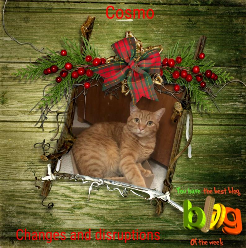 Cosmo of the Jax family