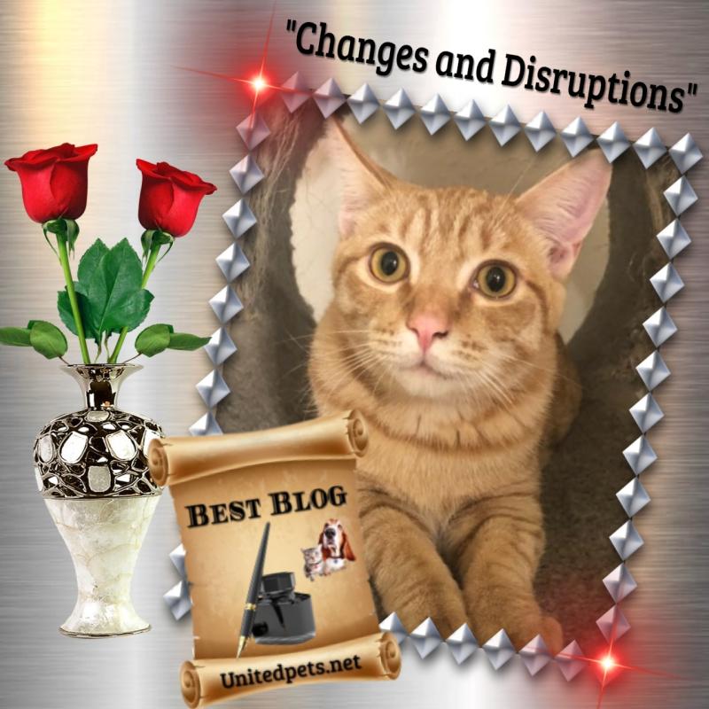 Cosmo of the Jax family