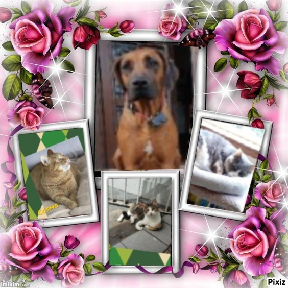 Jax uploaded   44  day/s  ago