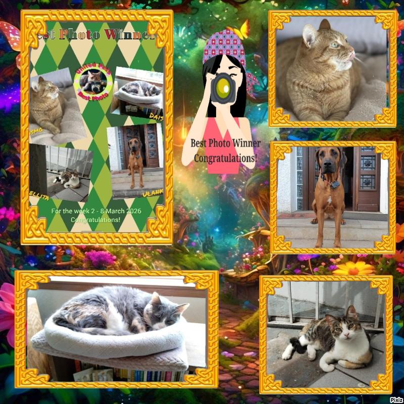 Cosmo of the Jax family