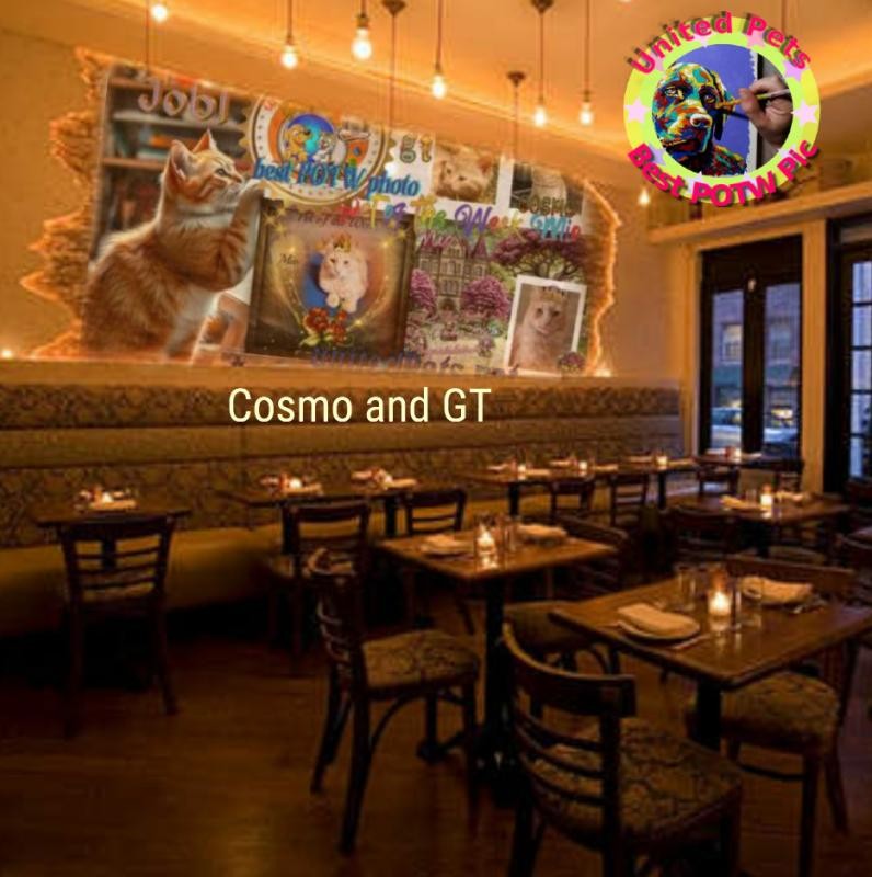 Cosmo of the Jax family