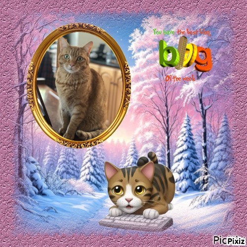 Cosmo of the Jax family