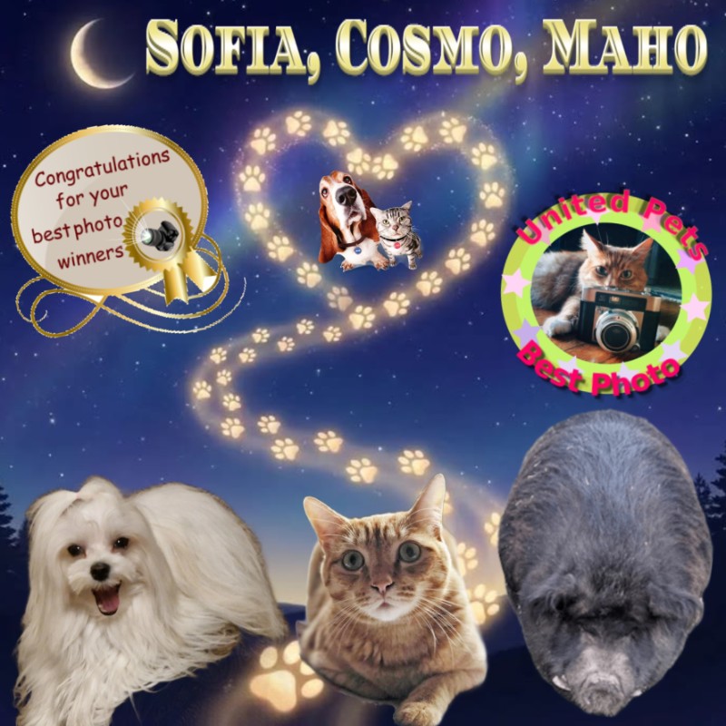 Cosmo of the Jax family
