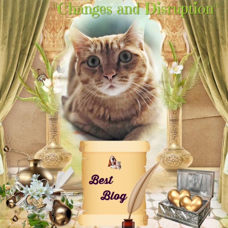 Cosmo of the Jax family