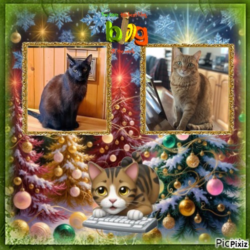 Cosmo of the Jax family