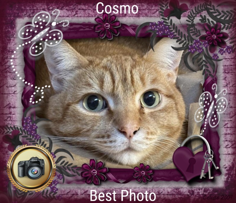 Cosmo of the Jax family