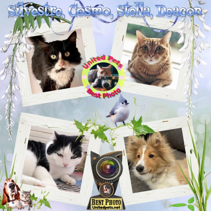 Cosmo of the Jax family