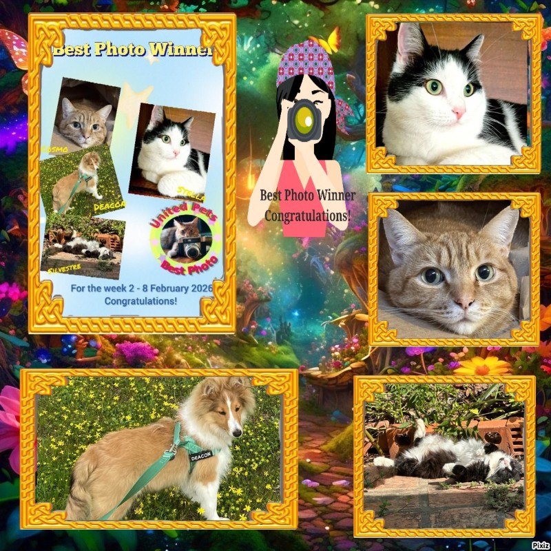 Jax uploaded   78  day/s  ago