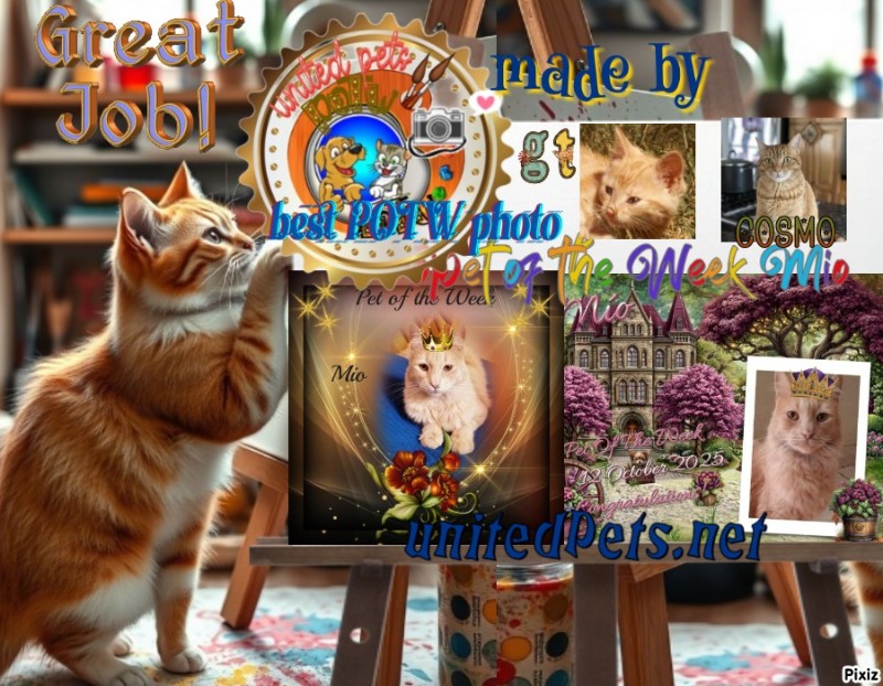 Cosmo of the Jax family