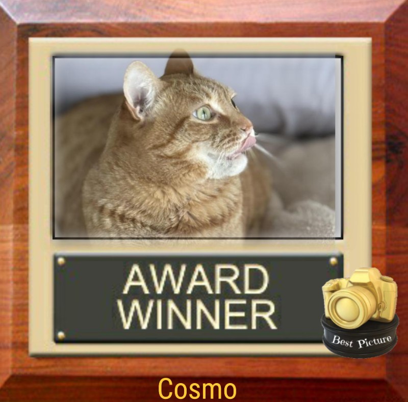 Jax uploaded   44  day/s  ago