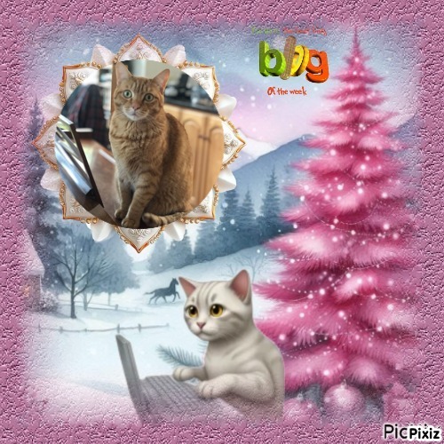 Cosmo of the Jax family