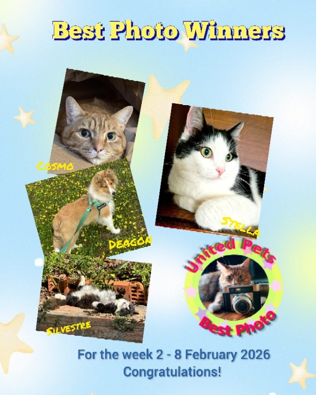 Jax uploaded   78  day/s  ago