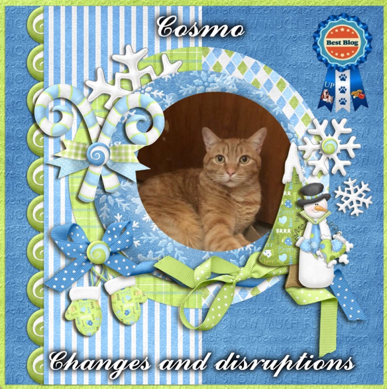 Cosmo of the Jax family