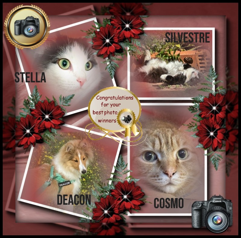 Cosmo of the Jax family