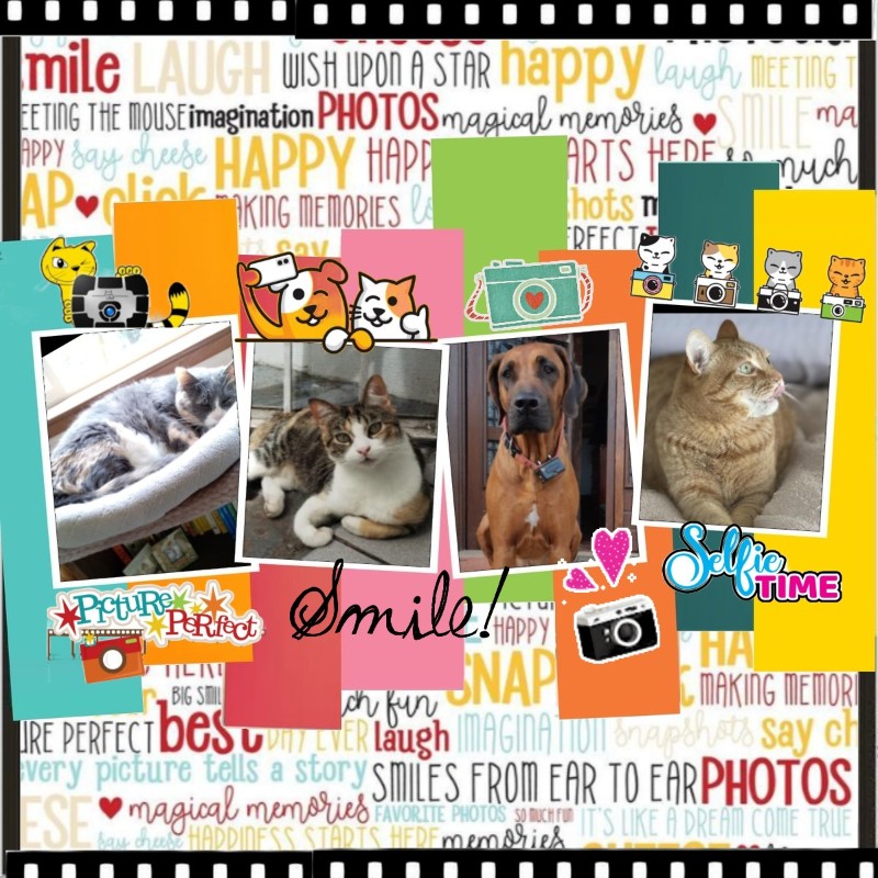 Cosmo of the Jax family