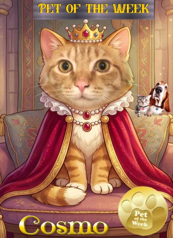 Jax uploaded   84  day/s  ago