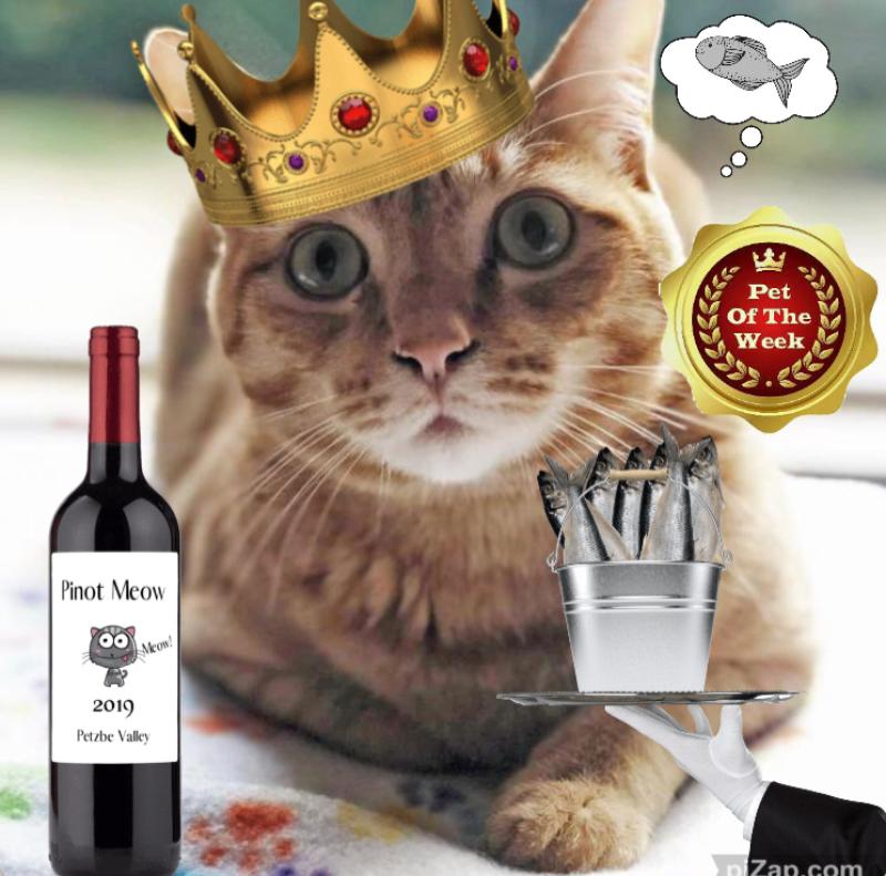 Jax uploaded   83  day/s  ago