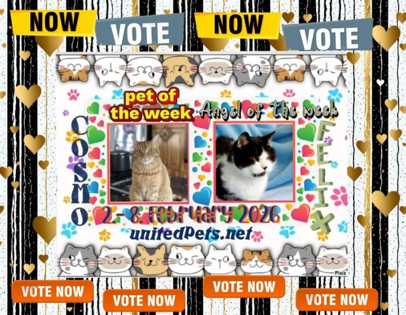 Jax uploaded   77  day/s  ago