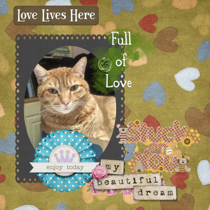 Jax uploaded   84  day/s  ago