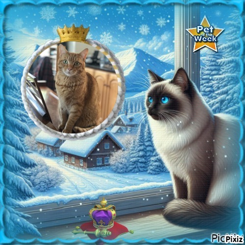 Jax uploaded   84  day/s  ago