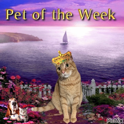 Jax uploaded   81  day/s  ago