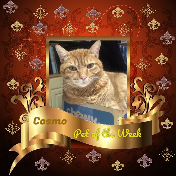 Jax uploaded   81  day/s  ago