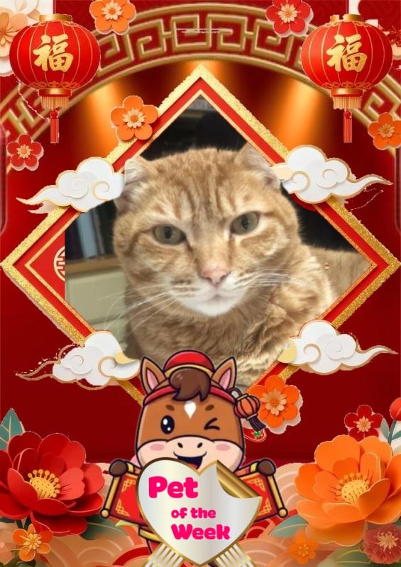 Jax uploaded   84  day/s  ago