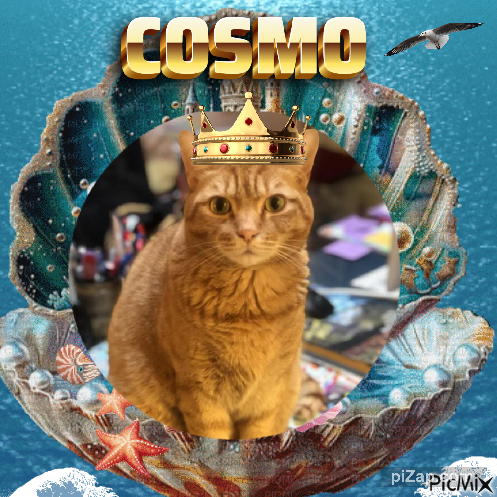 Jax uploaded   81  day/s  ago