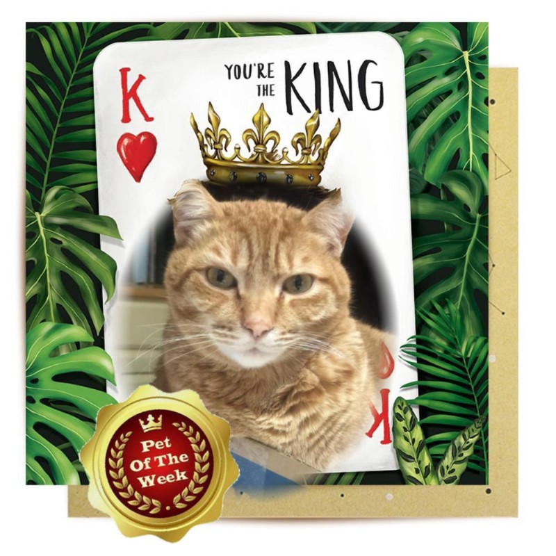 Jax uploaded   79  day/s  ago