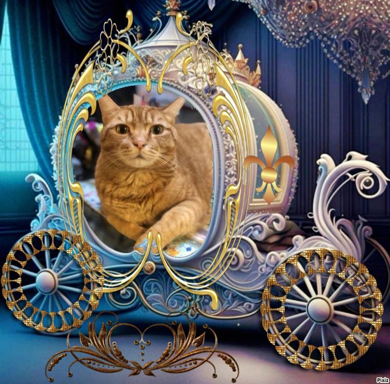 Jax uploaded   84  day/s  ago