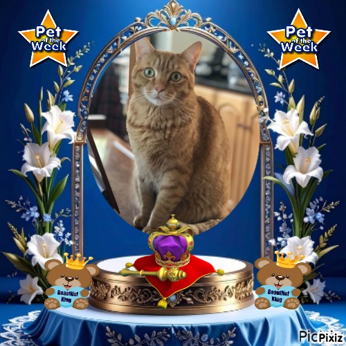 Jax uploaded   83  day/s  ago