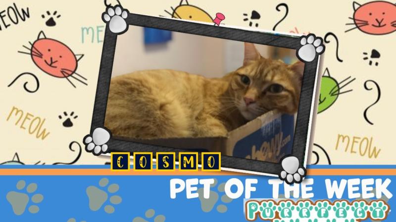 Jax uploaded   81  day/s  ago