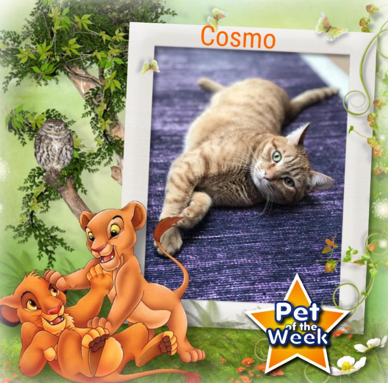 Jax uploaded   84  day/s  ago