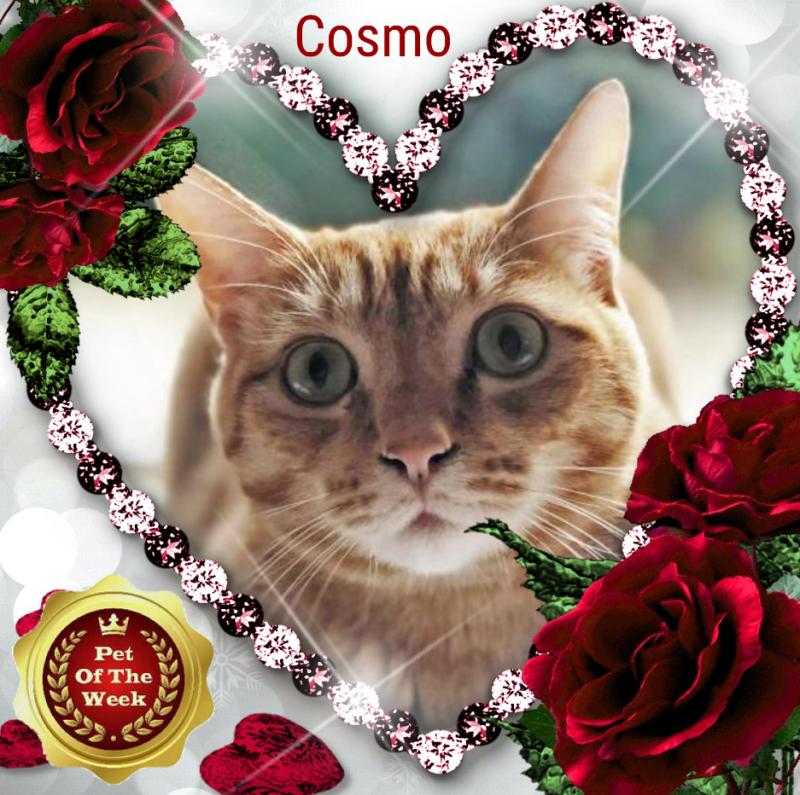 Jax uploaded   84  day/s  ago