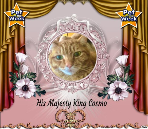 Jax uploaded   77  day/s  ago