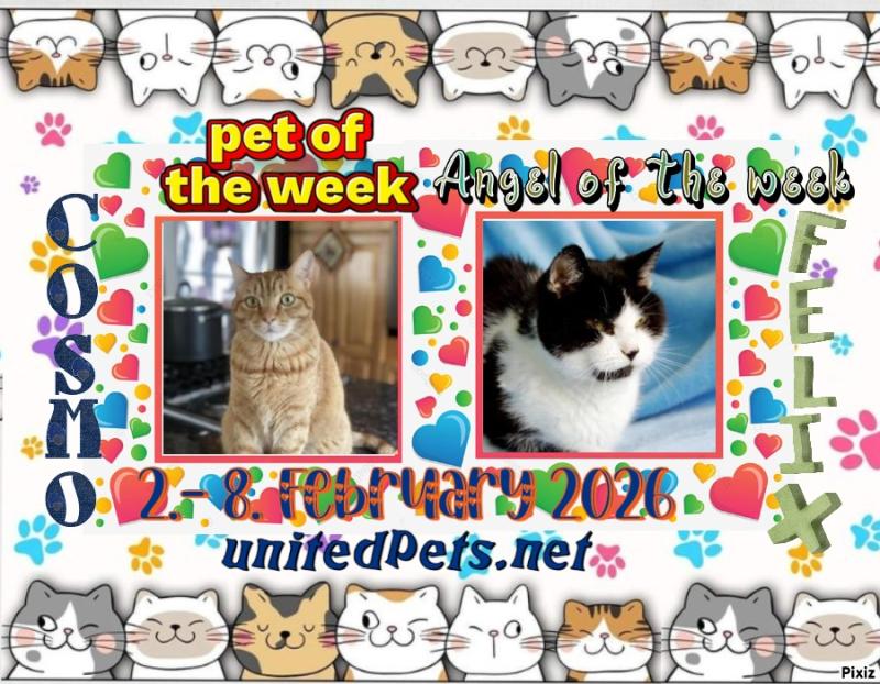 Jax uploaded   84  day/s  ago